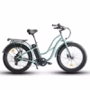 COSTAL CRUISERS FAT TIRE STEP THRU 26X4 - 52V BEACH CRUISER ELECTRIC BIKE