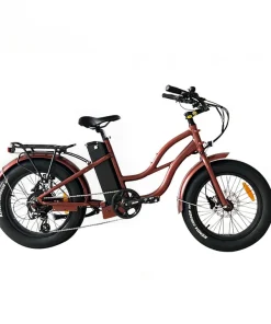 COSTAL CRUISERS STEP THRU MINI 20X4 - 52V BEACH CRUISER ELECTRIC BIKE